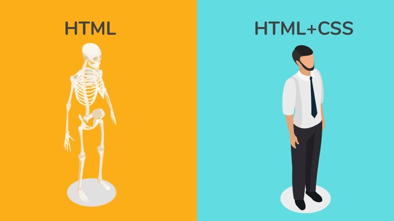 دوره html css برای آشنایی با کدنویسی هر دو زبان برنامه نویسی است