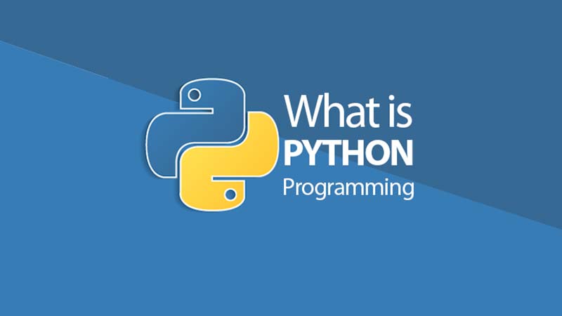 زبان برنامه نویسی پایتون چیست؟