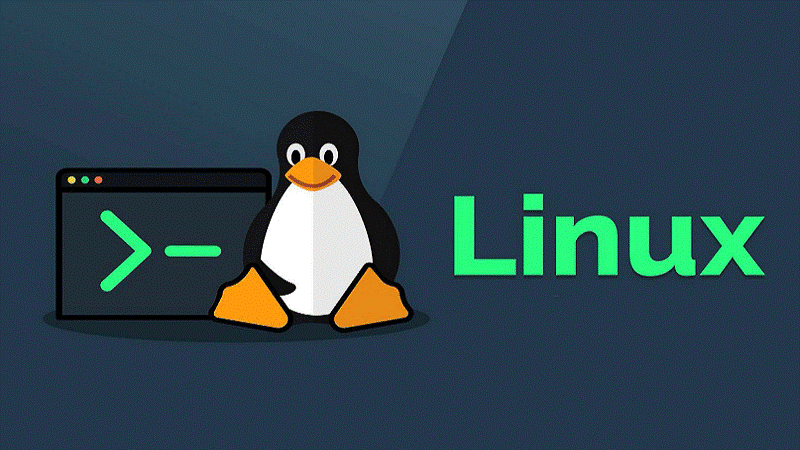 کارشناس پشتیبانی لینوکس کیست؟