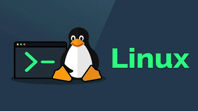 کارشناس پشتیبانی لینوکس کیست؟