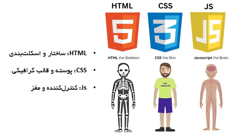 تفاوت زبان html، زبان css و جاوااسکریپت