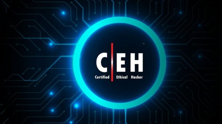هکر اخلاقی یا Ethical Hacker کیست؟ 13