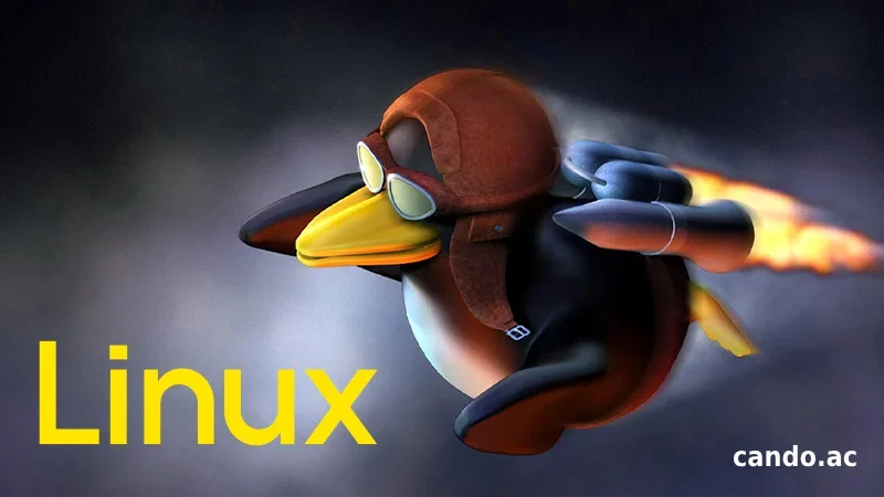 چرا امروزه آی تی منی که لینوکس ندونه بی سواده