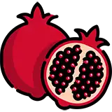 دانشجو تا یلدا 40 دانشجو تا یلدا 39