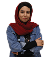 پک وردپرس 19