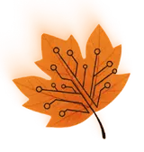 دوره‌های ویژه پاییز 1404 5