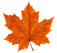 Leaf