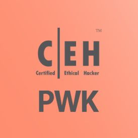 CEH-PWK-Logo-آموزشگاه-تخصصی-کندو